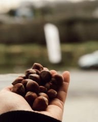 Kabuklu Fındık 1 kg