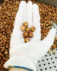 Çiğ Fındık İçi - 1 Kg Vakum Ambalaj